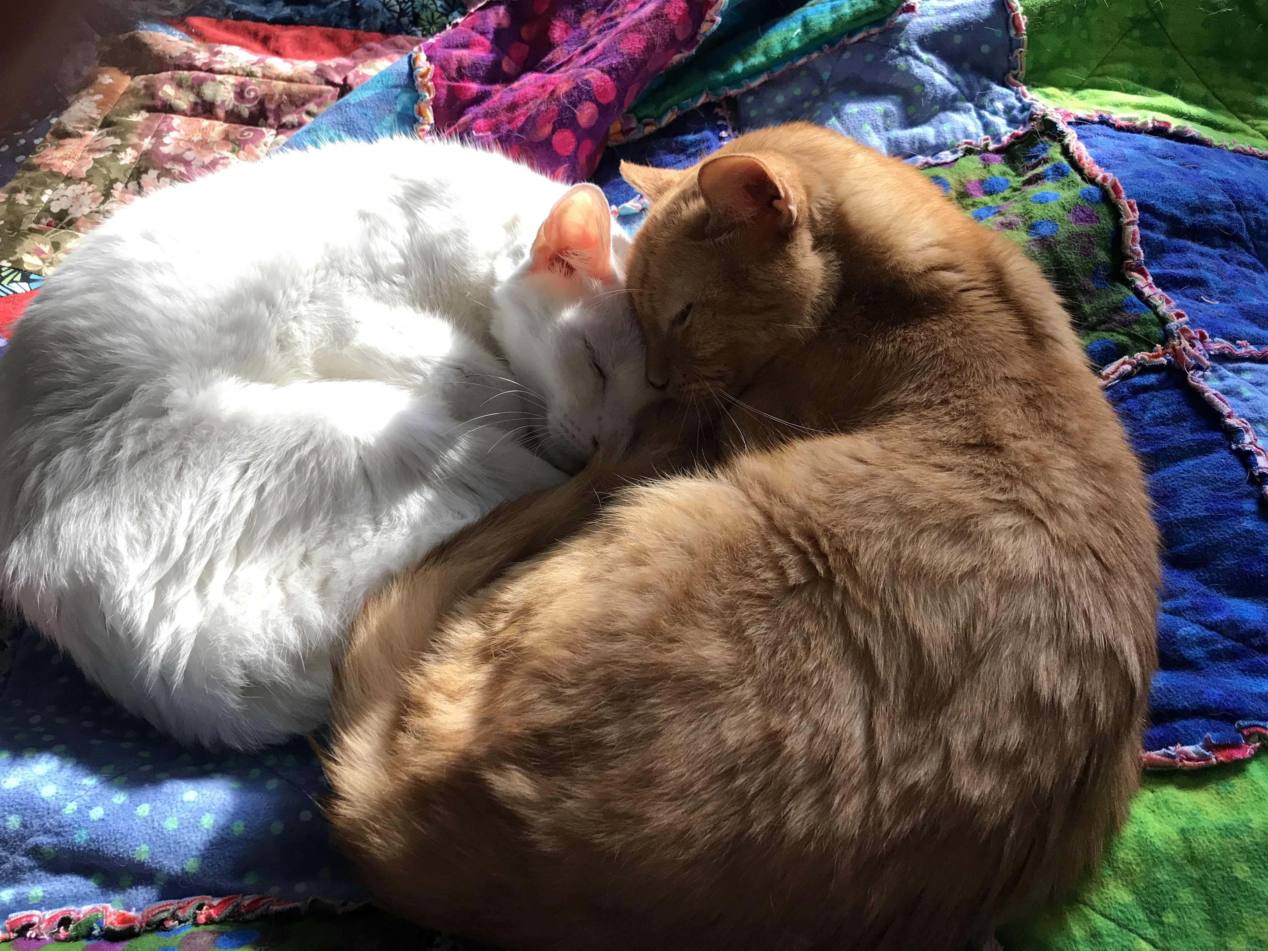 2D32C0CB-3219-491E-9CBD-813D21E8F956