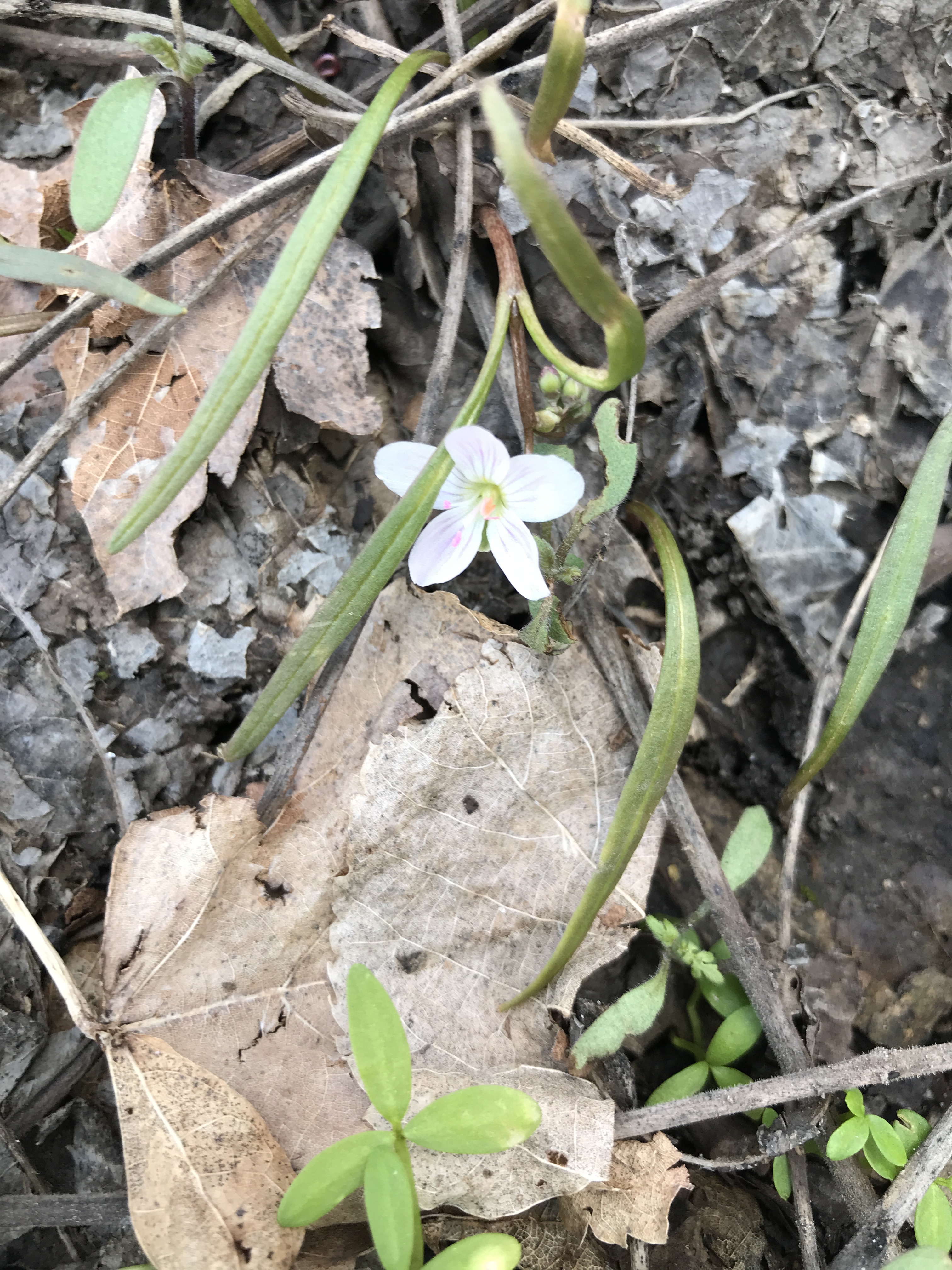 B057BA76-9E6C-48A0-BAC6-351EE6A186DB